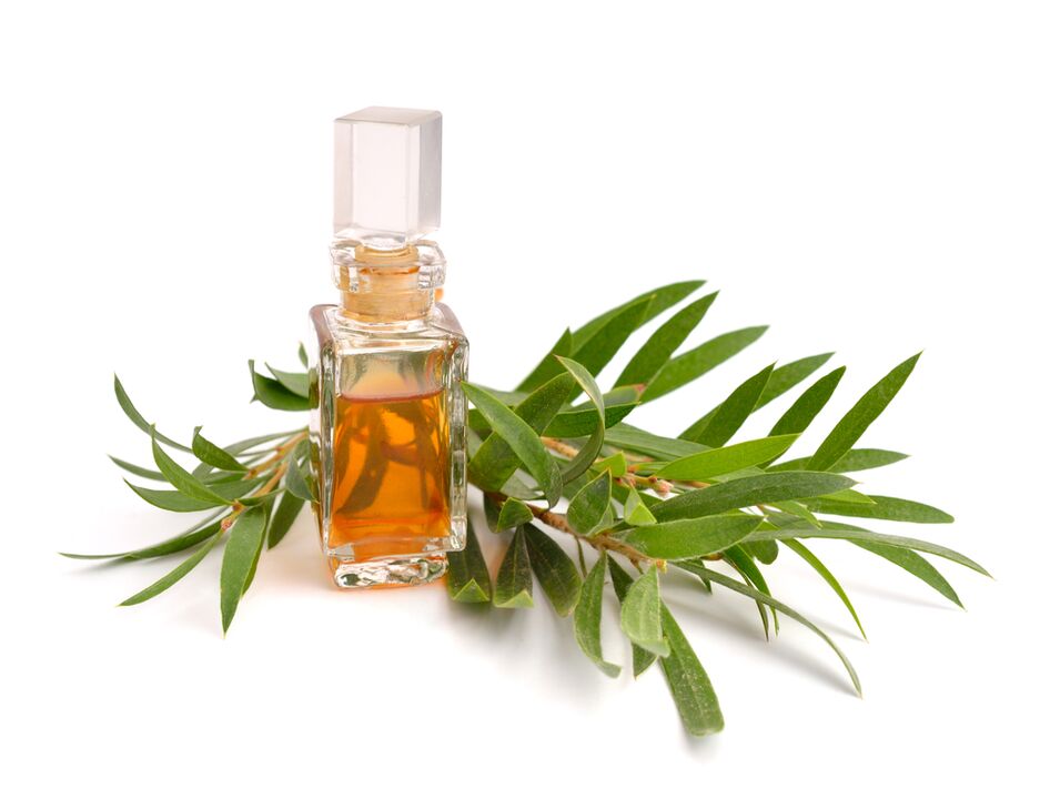 Λάδι τσαγιού ως μέρος του πηκτώματος Hondroine